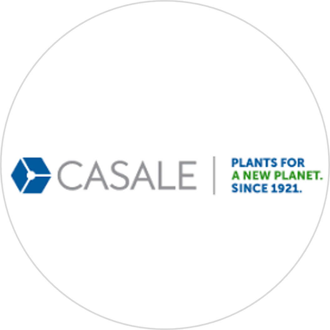Casale